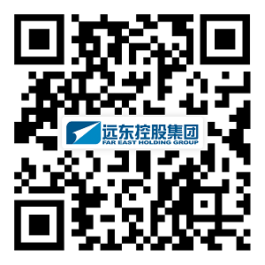 遠(yuǎn)東控股集團(tuán)